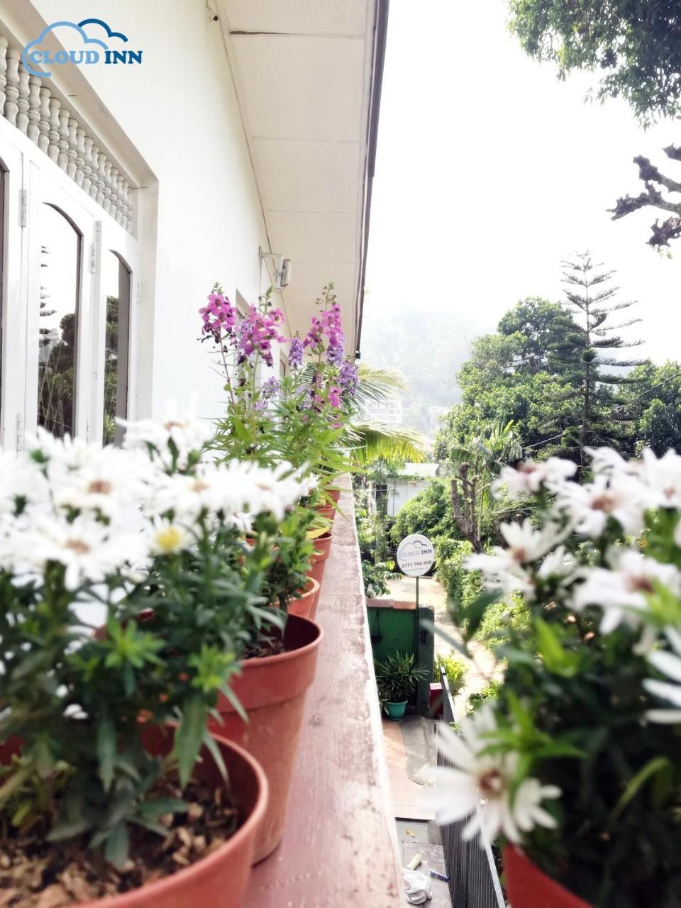 Cloud Inn Kandy Homestay Exterior foto